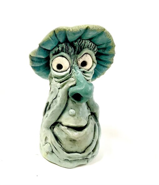 David the Mushroom